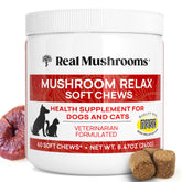 Real Mushrooms Calming Chews bottle for dogs and cats supports daily calm and focus.