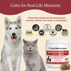 Real Mushrooms calming chews dog dosing shows weight-based daily amount for convenience.