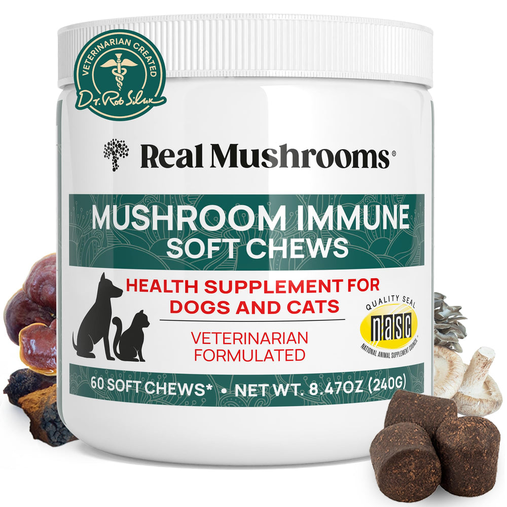 Real Mushrooms Immune Pet Chews for dogs support daily digestive and immune wellness.