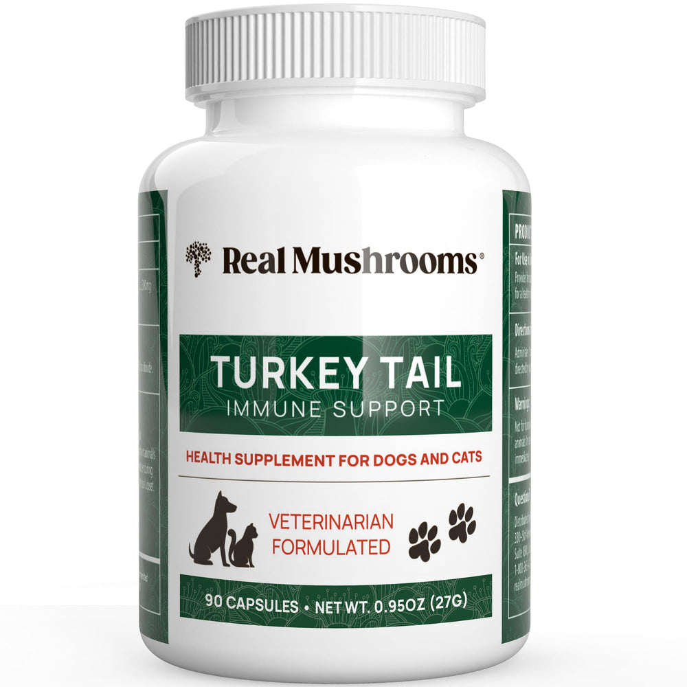 Real Mushrooms Turkey Tail pet bottle shows an organic supplement for daily pet balance.