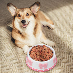Reallnaive pink bow ceramic pet bowl pattern highlight cute decor accent.