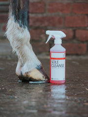 Red Horse Products Sole Cleanse refill packaging demonstrates eco-friendly concentrate for extended use