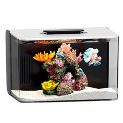 Red Tail Fish 2.5-gallon tank with hidden filtration for a clean aquascape
