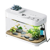 Red Tail Fish Smart Tank 3Gallon front view shows compact design for desks and vivid observation.