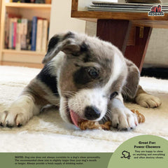 Redbarn Bully Barbells beef pizzle close-up highlights natural, savory chew.