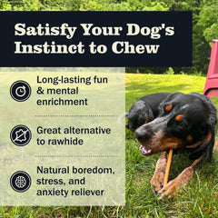 Redbarn low-odor rawhide-free dog treats highlight clean homes and natural flavor.