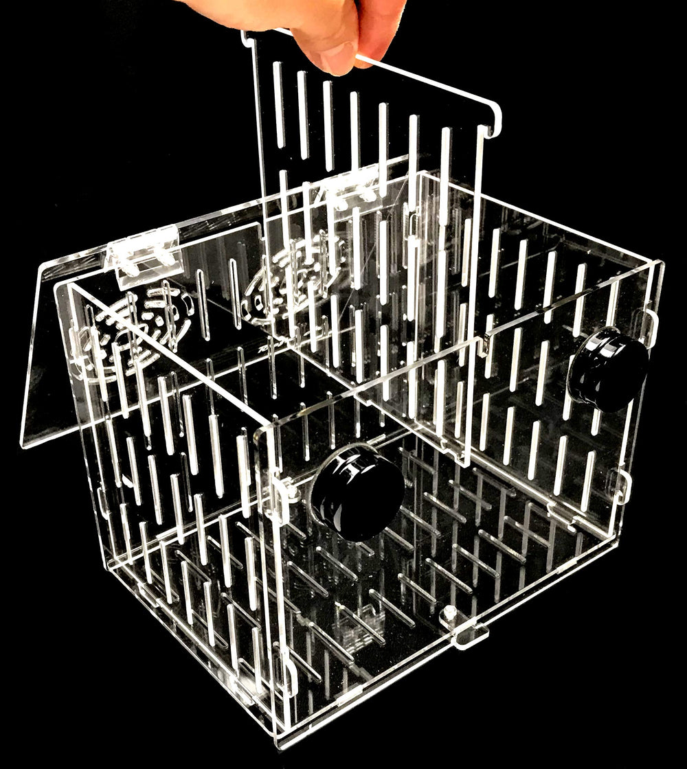 Reefing Art magnetic acclimation box assembly view highlighting easy setup for new arrivals.