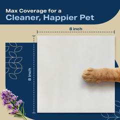 REFRESHIFY dog wipes plant-based ingredients gentle care for all ages and breeds