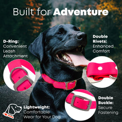 Regal Dog Products D-ring attachment image highlighting leash and harness compatibility.