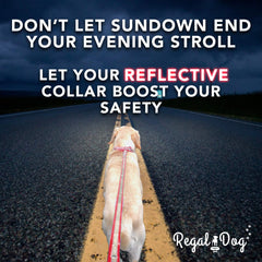 Regal Dog Products waterproof coating demonstrating easy cleaning after splashes