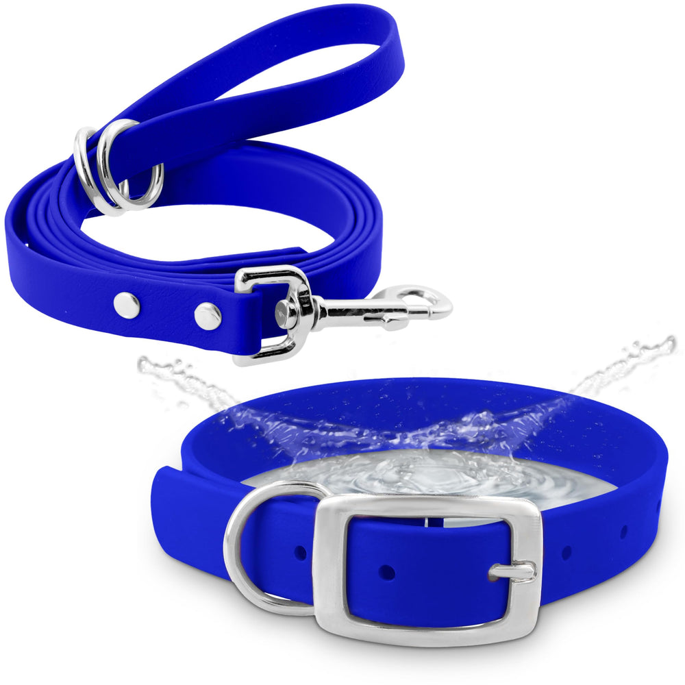 Regal Dog Products medium blue waterproof collar close-up showing secure double buckle for daily walks.
