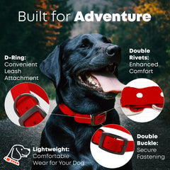 Regal Dog Products medium red waterproof collar, center-ring close-up, secure leash attachment.