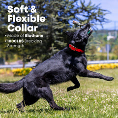 Regal Dog Products vinyl-coated webbing close-up emphasizes waterproof, dirt-repellent performance.
