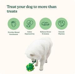 Reggie Forager Ball treat-dispensing feature rewards curiosity during play.