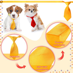 Reginary adjustable pet ties buckle closeup demonstrates easy-on, secure fit