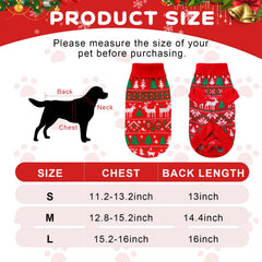 Reginary dog Christmas scarf added to a festive look for warmth