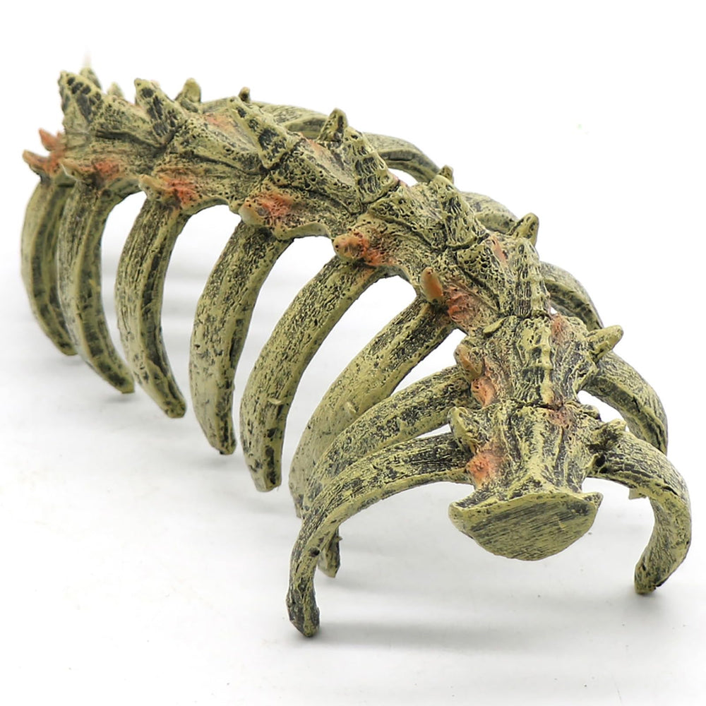 relaqcc skull ornament submerged sea bed offers hiding spots for small fish