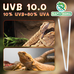 REPTI HOME UVB light delivers stable 10% UVB and 30% UVA output