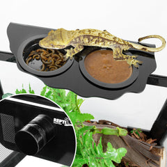REPTI ZOO acrylic gecko feeding ledge provides a clear durable surface