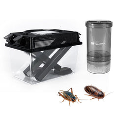 REPTI ZOO cricket-keeper acrylic for easy cricket monitoring