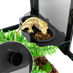 REPTI ZOO six-cup gecko feeder ledge for organized meals