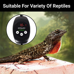 REPTI ZOO intelligent alarm system flags LL and HH alerts for safe humidity levels.