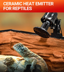 REPTI ZOO 10000-hour lifespan heat emitter in use for reliable heat