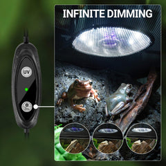 REPTI ZOO UVB light desert mode display tailored UVB for desert-dwelling reptiles