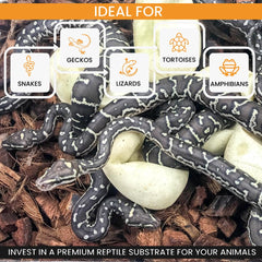 ReptiChip dust-free substrate refined in the United States for healthier terrarium environments.