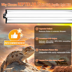 REPTIDLDB replaceable UVB bulb kit enables easy maintenance and flexibility.