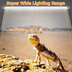 REPTIDLDB desert-tropical setup showing versatile UVB lighting for multiple species