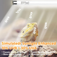 REPTIDLDB long-life UVB light bar brightening a bearded dragon habitat