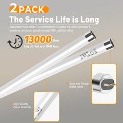 REPTIDLDB T5 UVB bulb illuminating a reptile enclosure for natural day cycle