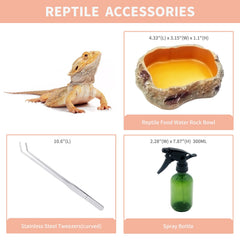 Reptile Growth Mini Terrarium explosion-proof PC ensures durable viewing