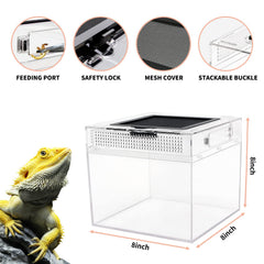 Reptile Growth mini terrarium feeding port enables clean, efficient feeding sessions