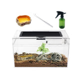 Reptile Growth Mini Terrarium full-view offers clear 360-degree visibility for observation