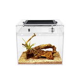 Reptile Growth mini terrarium full view for easy pet observation and display