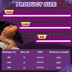 Reptispa basking light for reptiles enabling daytime activity.