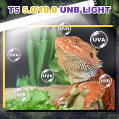 Reptispa T5 HO 8W 2-pack for easy replacement and stable illumination.