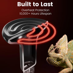 REPTITRIP 100W daytime heat bulb for basking warmth