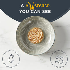 Reveal grain-free cat food label emphasizing limited ingredients