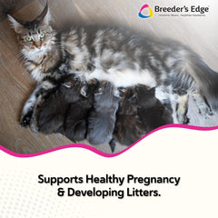 Revival Breeder's Edge Oxy Mate meat treats highlight convenient prenatal nutrition for pets.