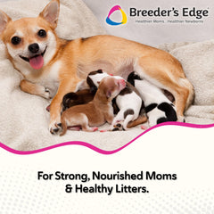 Revival Animal Health Breeder's Edge Oxy Momma soft chews pack front for lactation support