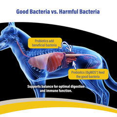 Doc Roy’s GI Synbiotics gel with live cultures supports gut health.