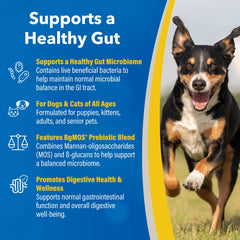 Doc Roy’s GI Synbiotics gel close-up shows chicken-flavored pet supplement.