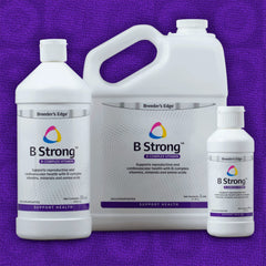 Revival Breeder's Edge B Strong Liquid integrated into dog or cat meals.