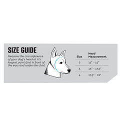 Rex Specs Ear Pro on dog head shows secure wear for active daily adventures.