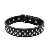Rhinestones Dog Collar close-up with sparkling crystals on genuine leather for stylish daily wear.