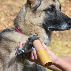 Rhino Wax paw-shield against rocks-glass-coral for safer beach days.