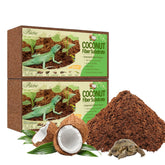 Riare bloques coco fibra: sustrato estable para terrarios que favorece la excavación.
